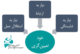 پرسشنامه انگیزش شغلی خود تعیین گری بلیس (BWMI)